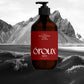 Men's 2-in-1 Hair & Body Wash